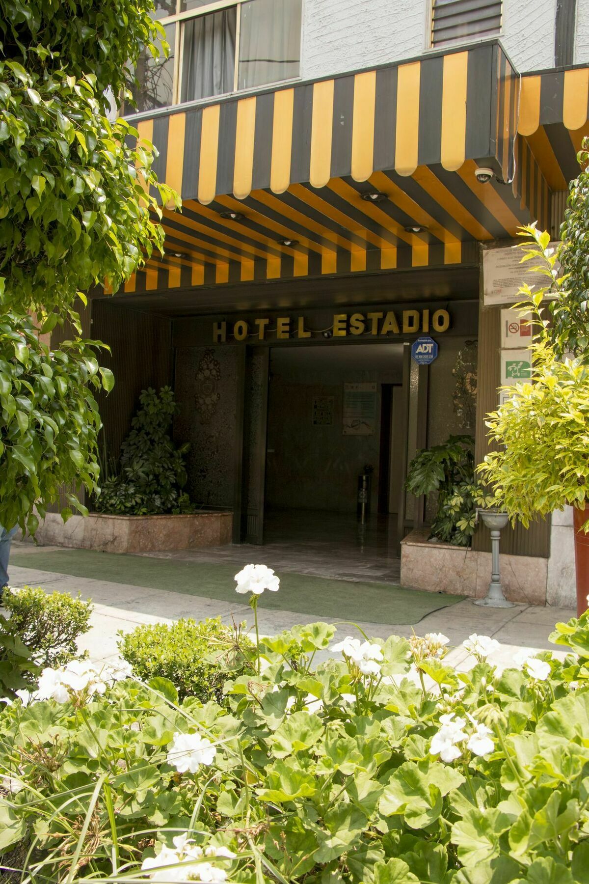 Hotel Estadio S.A Mexico City Exterior photo